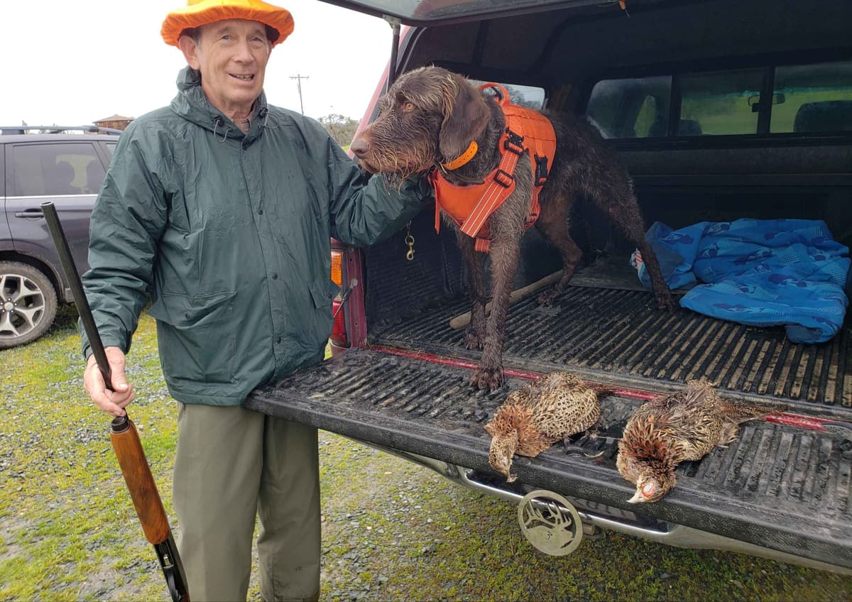 German Wirehaired Pointer Puppies breeder image 6