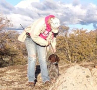German Wirehaired Pointer Puppies breeder image 7