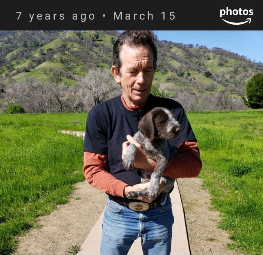German Wirehaired Pointer Puppies breeder image 10