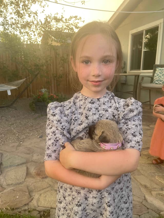 Laurel's Cairn Terrier Puppies media 13