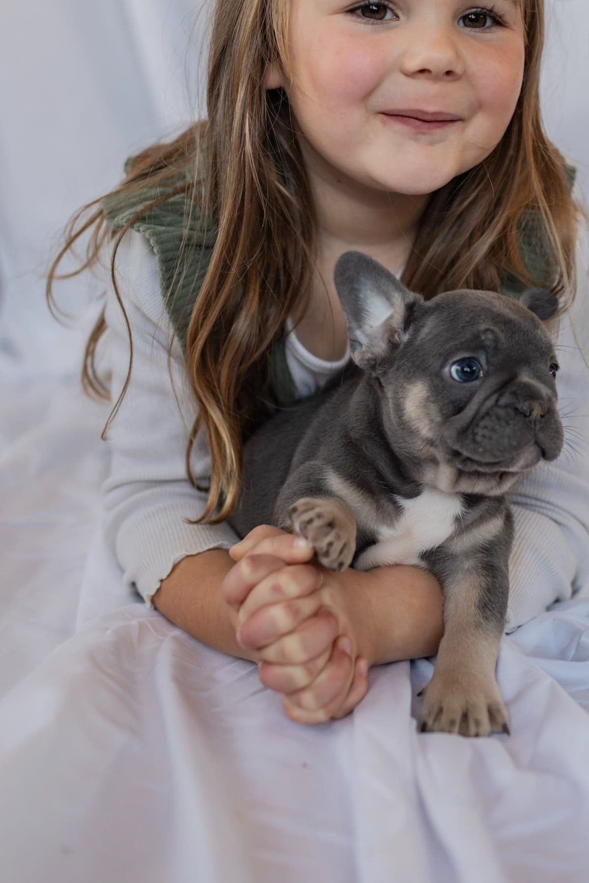 French Bulldog Puppies breeder image 2
