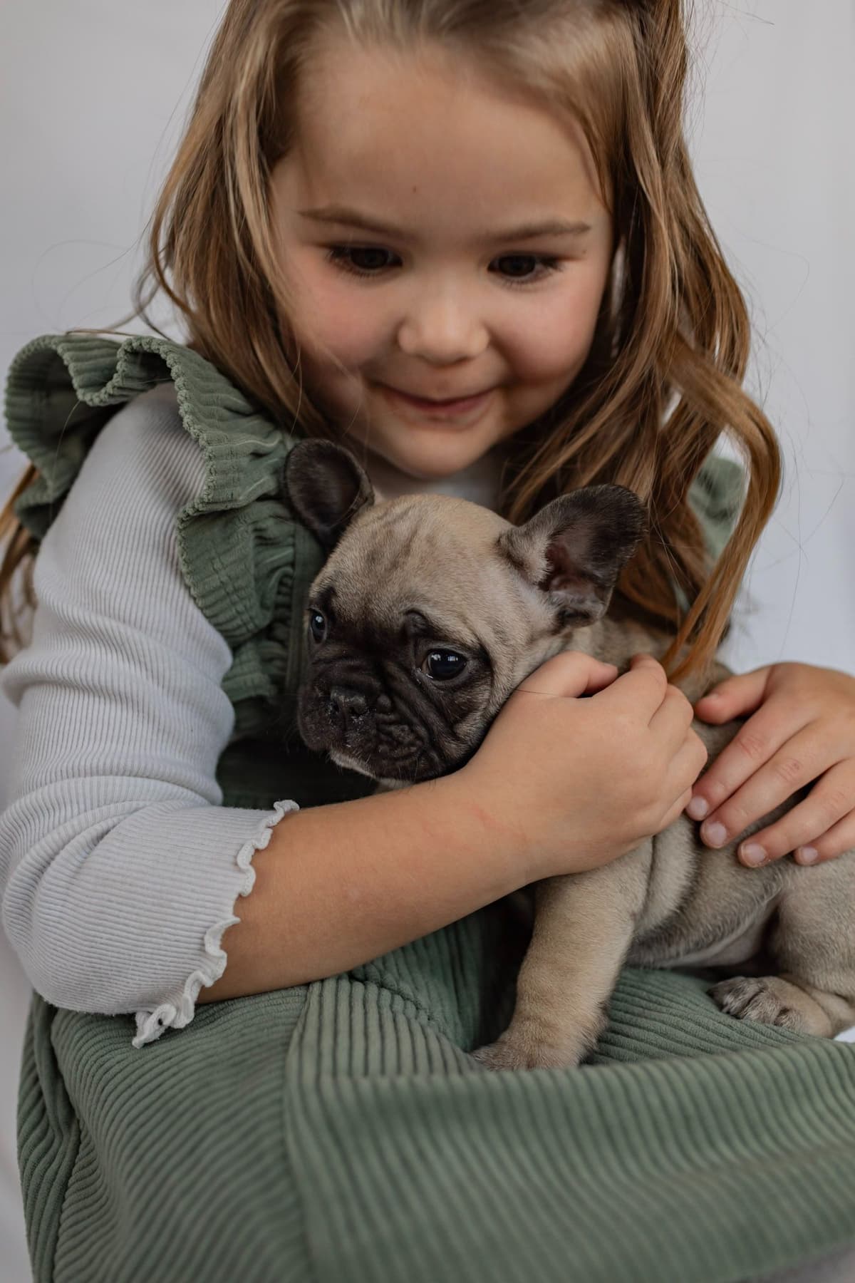 French Bulldog Puppies breeder image 5