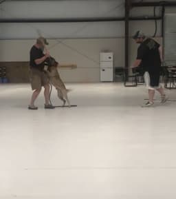 Carlisle K9 LLC