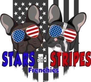 Stars And Stripes Frenchies Focused on Health Structure &Temperanent breeder image 1