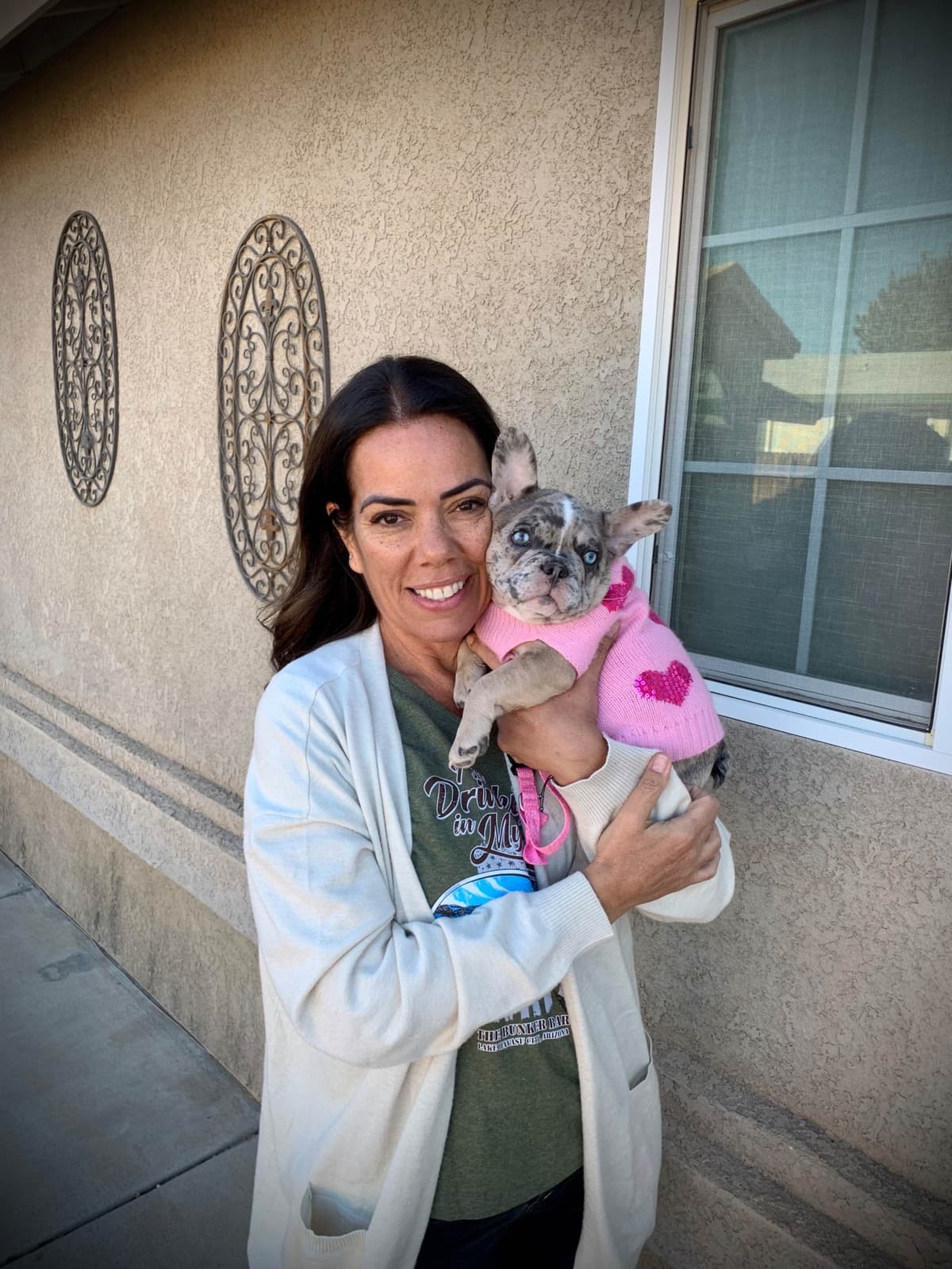 Stars And Stripes Frenchies Focused on Health Structure &Temperanent breeder image 8