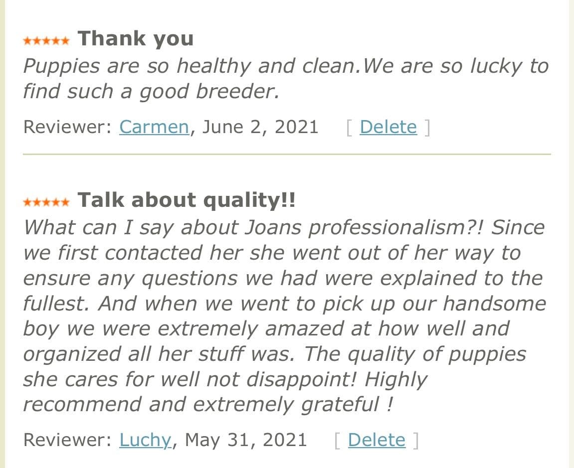 Poodle Puppies breeder image 10