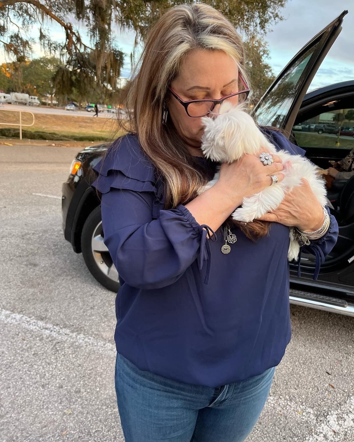 Poodle Puppies breeder image 27