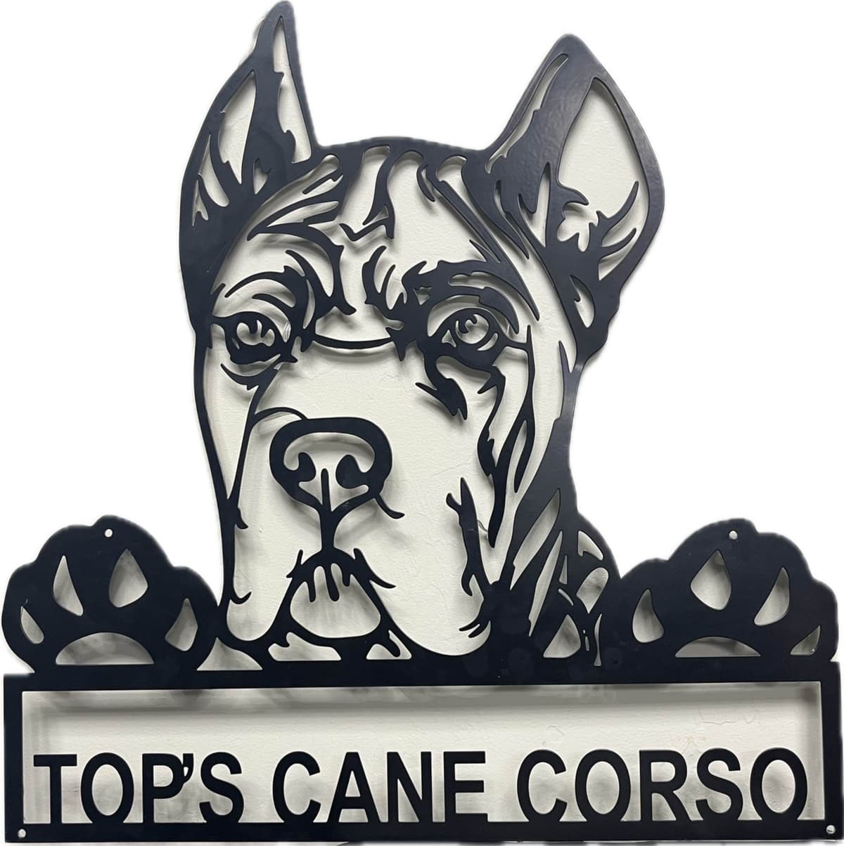 Cane Corso Puppies breeder image 1