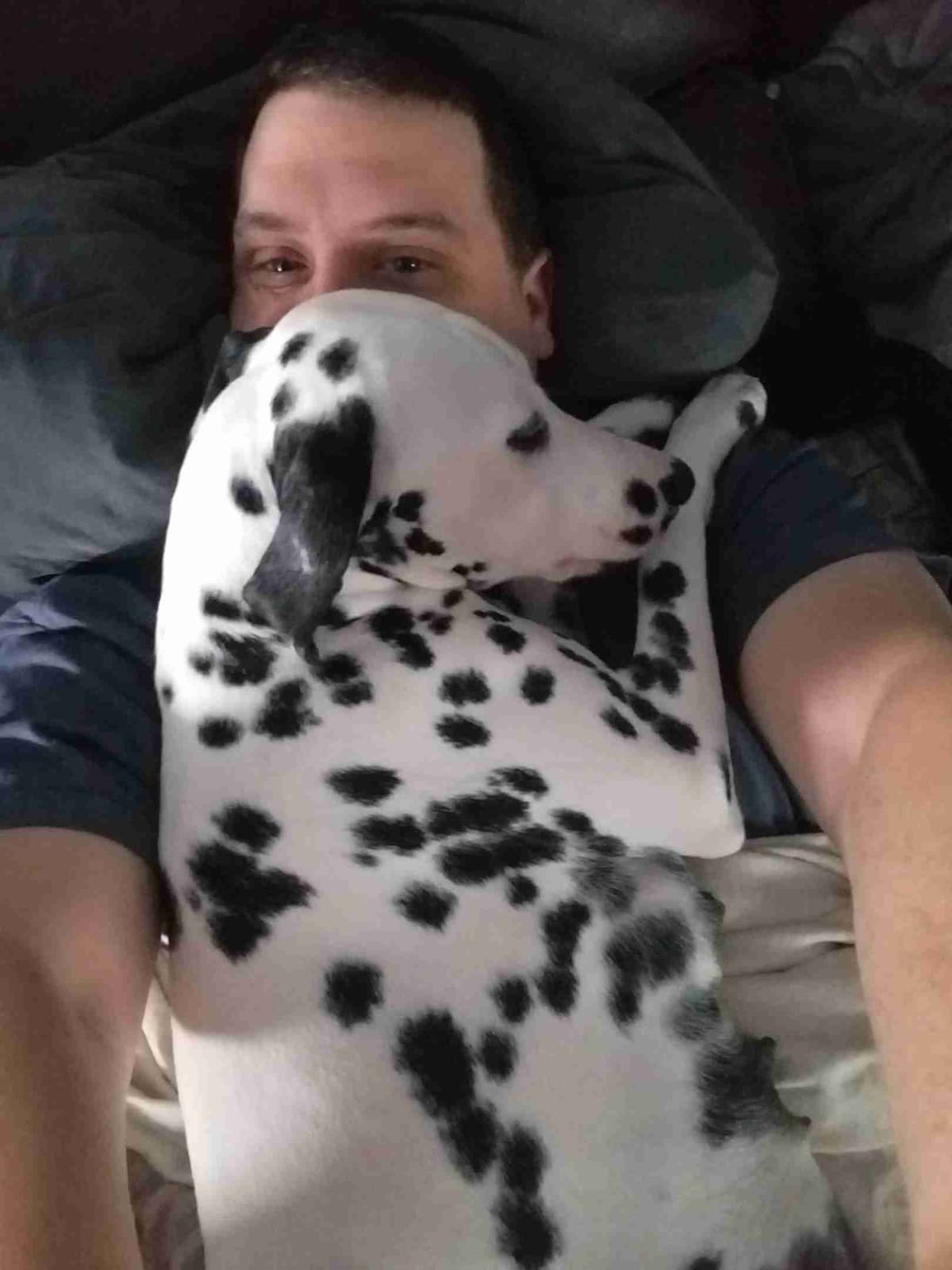 Dalmatian Puppies breeder image 3