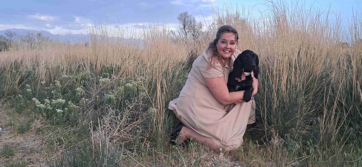 English Working Cocker Spaniel Puppies breeder image 3