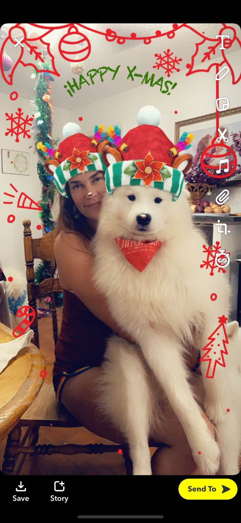 Samoyed Puppies breeder image 8
