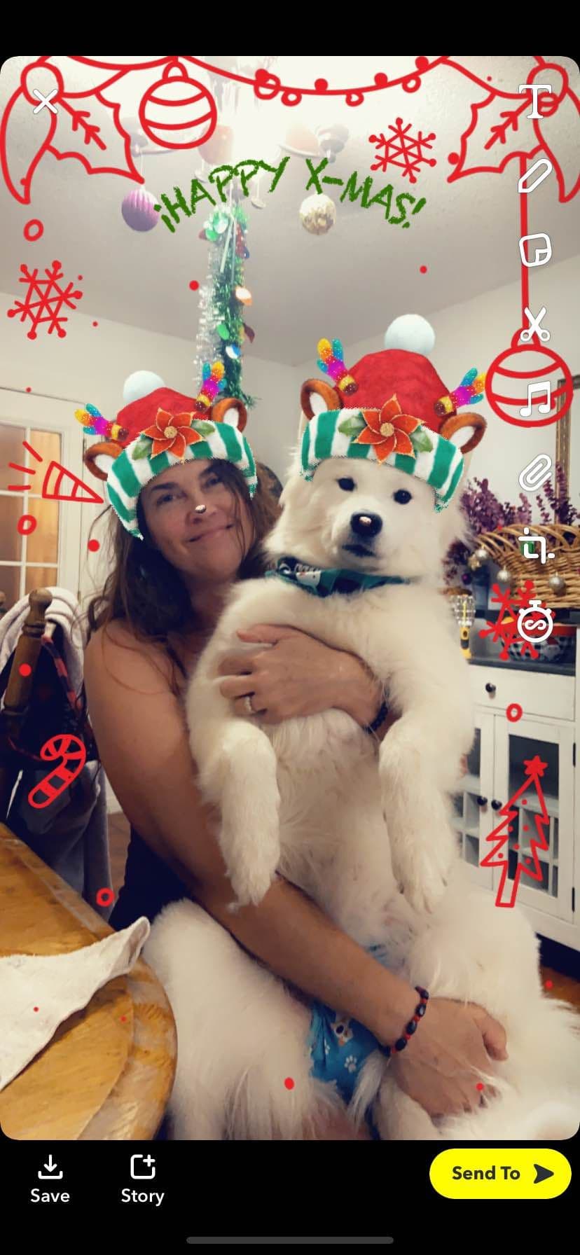 Samoyed Puppies breeder image 6