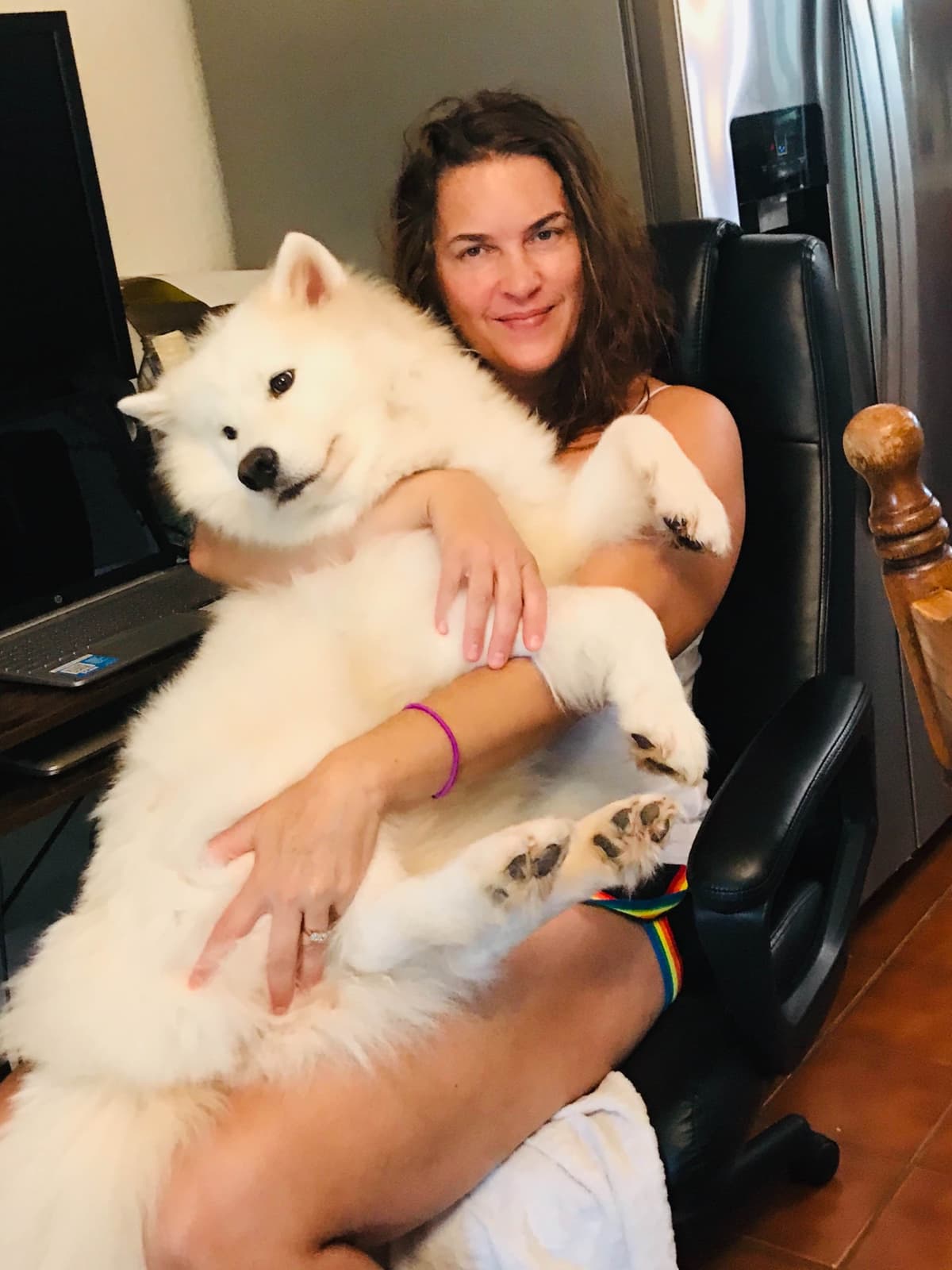 Samoyed Puppies breeder image 36