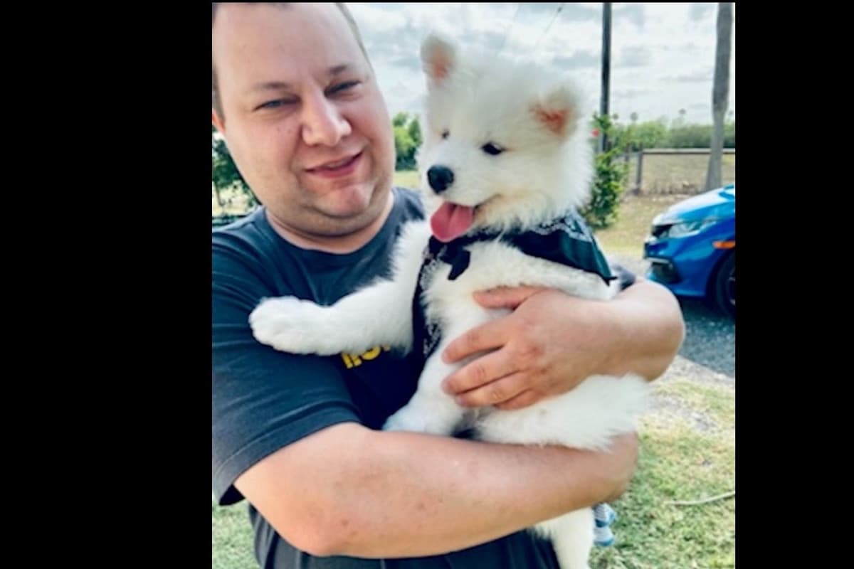 Samoyed Puppies breeder image 54