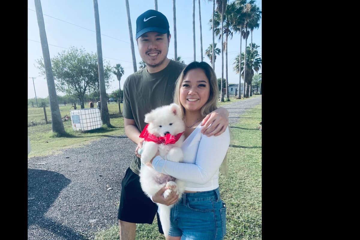 Samoyed Puppies breeder image 55