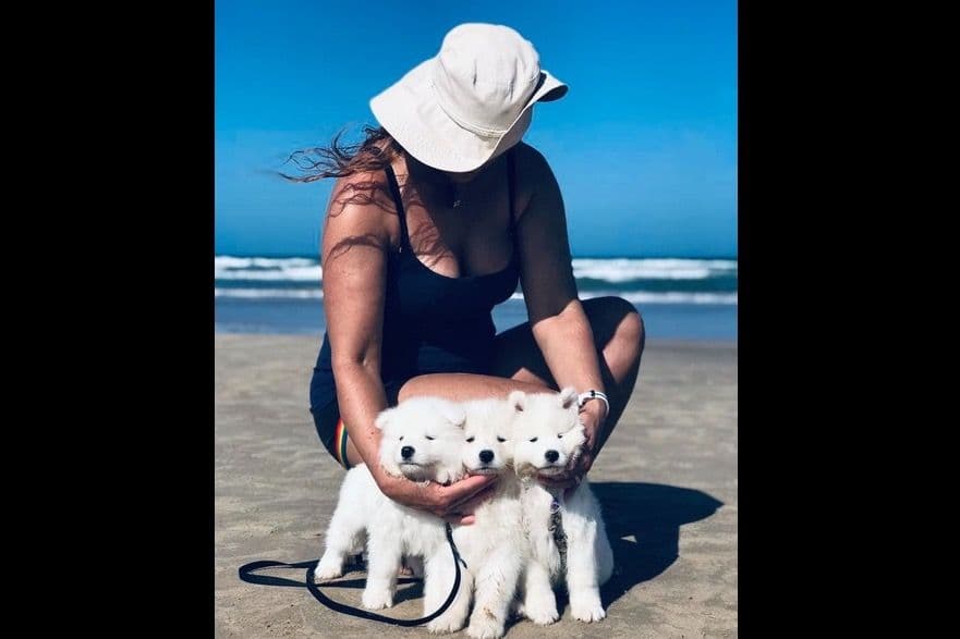 Samoyed Puppies breeder image 59