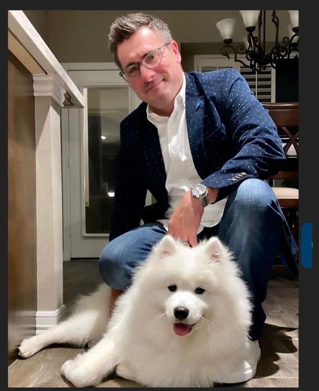 Samoyed Puppies media 8
