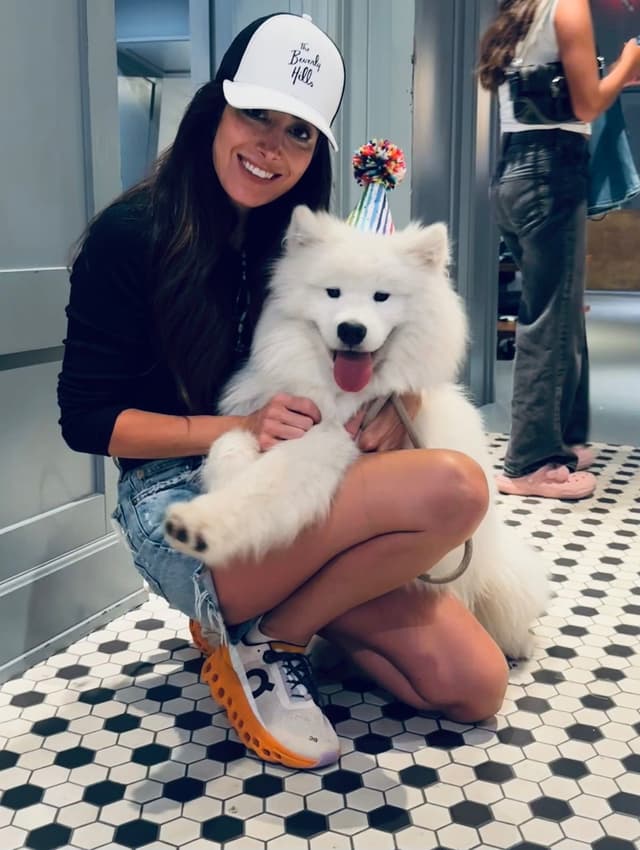 Samoyed Puppies media 13