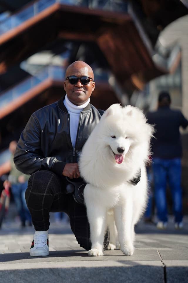 Samoyed Puppies media 14