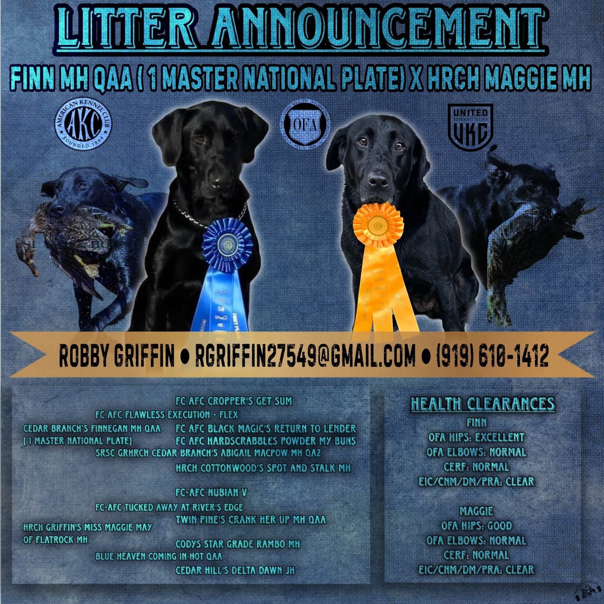 Labrador Retriever Puppies breeder image 1
