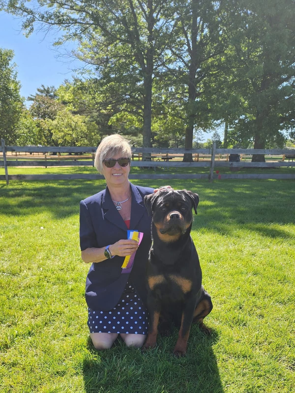 Rottweiler Puppies breeder image 2