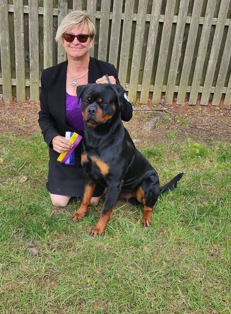 Rottweiler Puppies breeder image 1