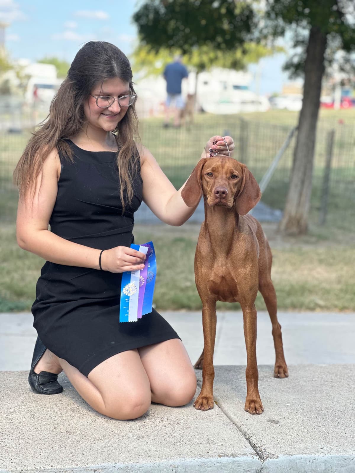 Vizsla Puppies breeder image 19