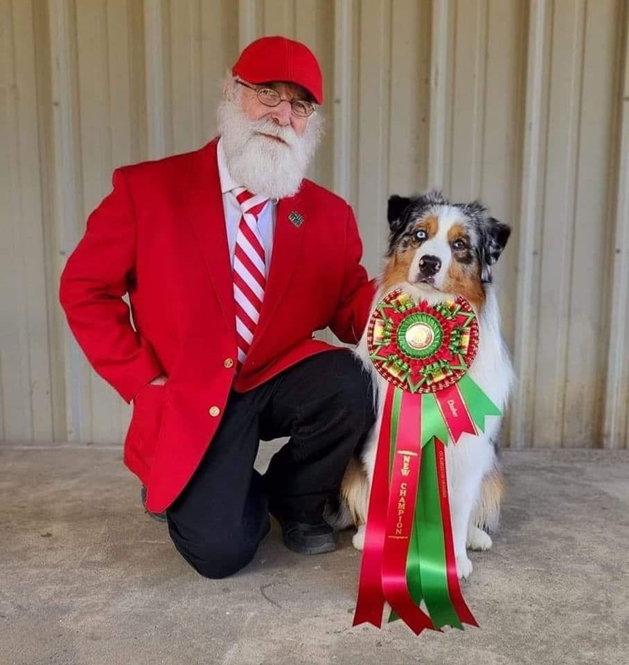 Champion Australian Shepherd Puppies breeder image 1