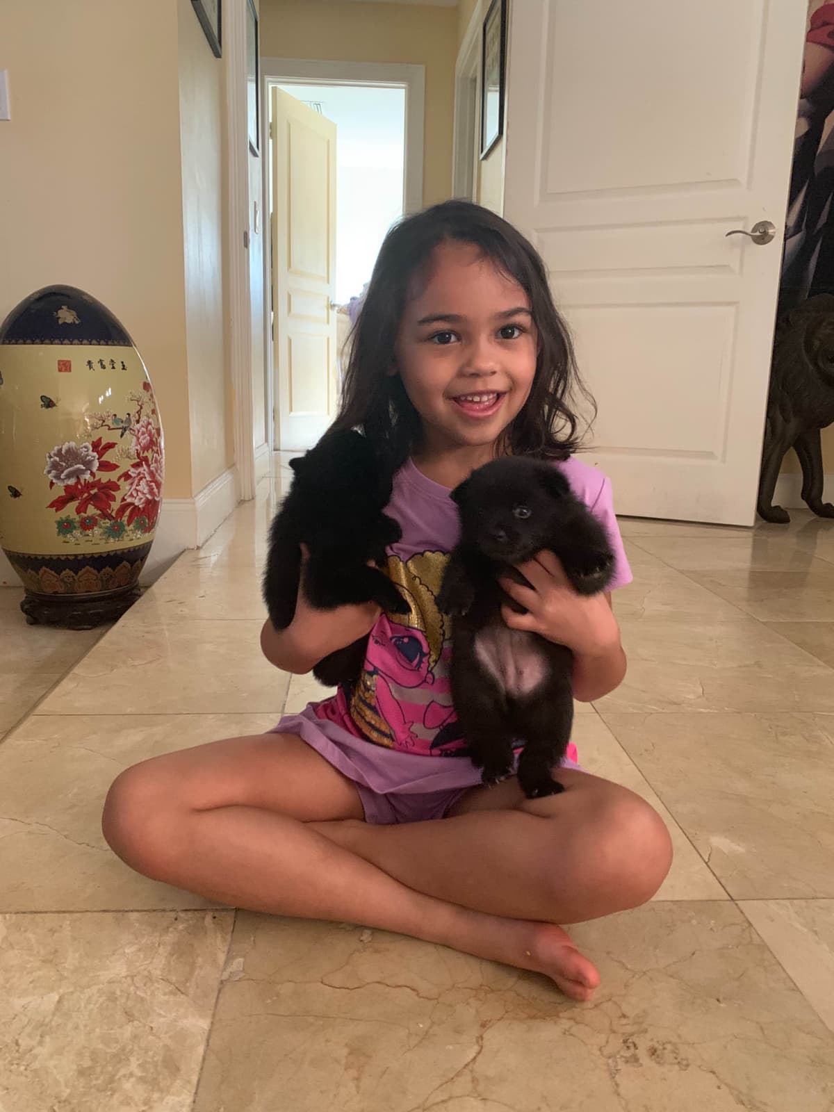 Schipperke Puppies breeder image 7