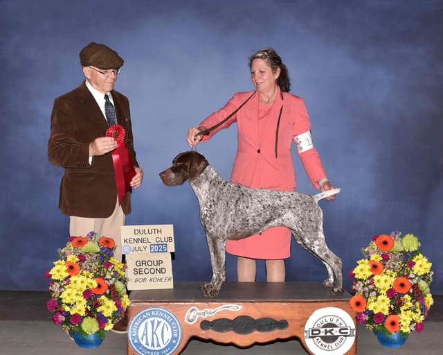 German Shorthaired Pointer Puppies media 8