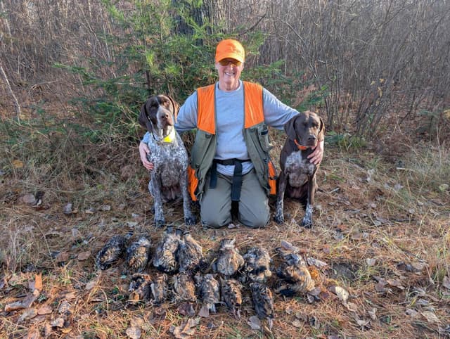 German Shorthaired Pointer Puppies media 9