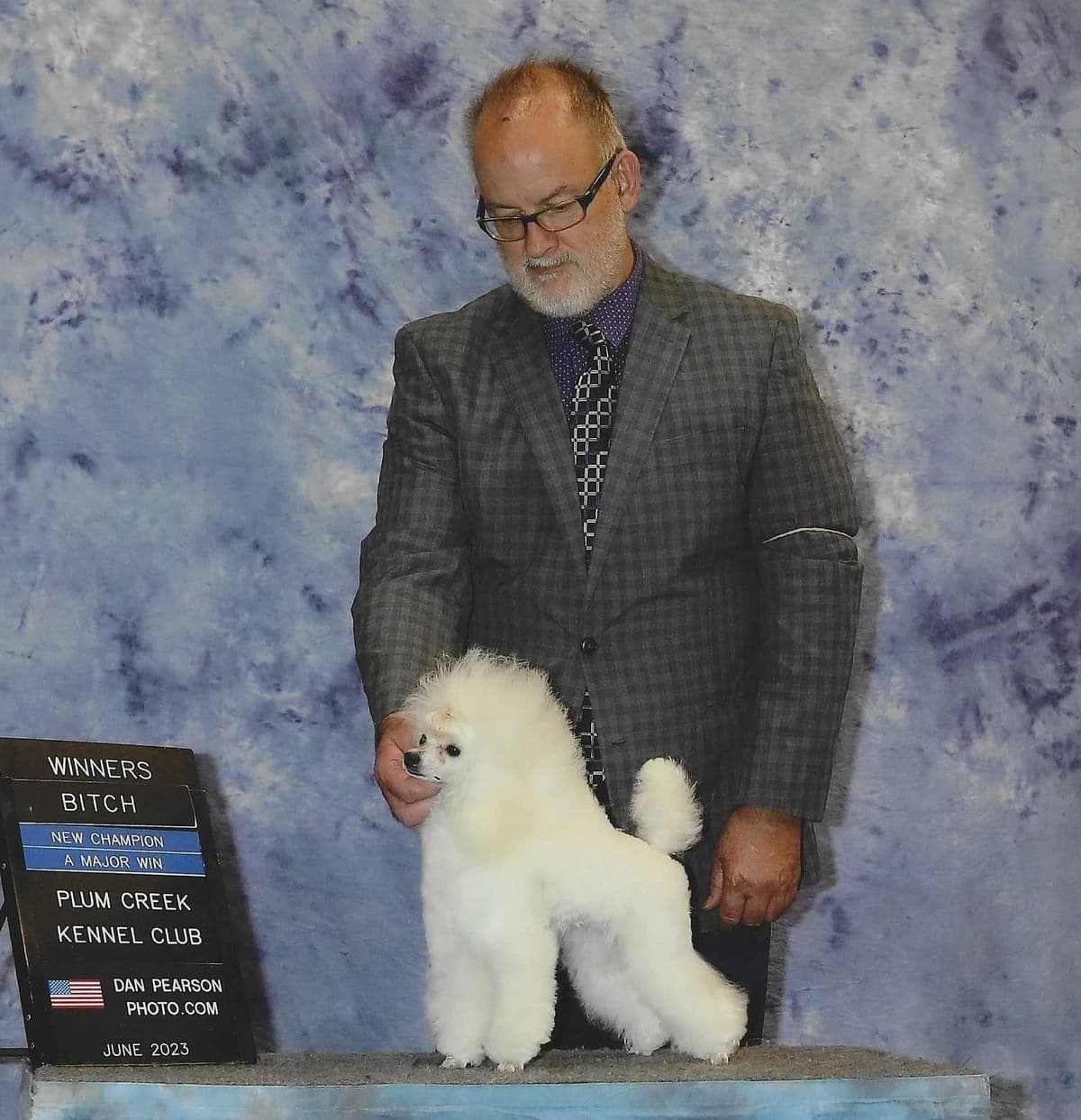 Yorkshire Terrier Puppies breeder image 8