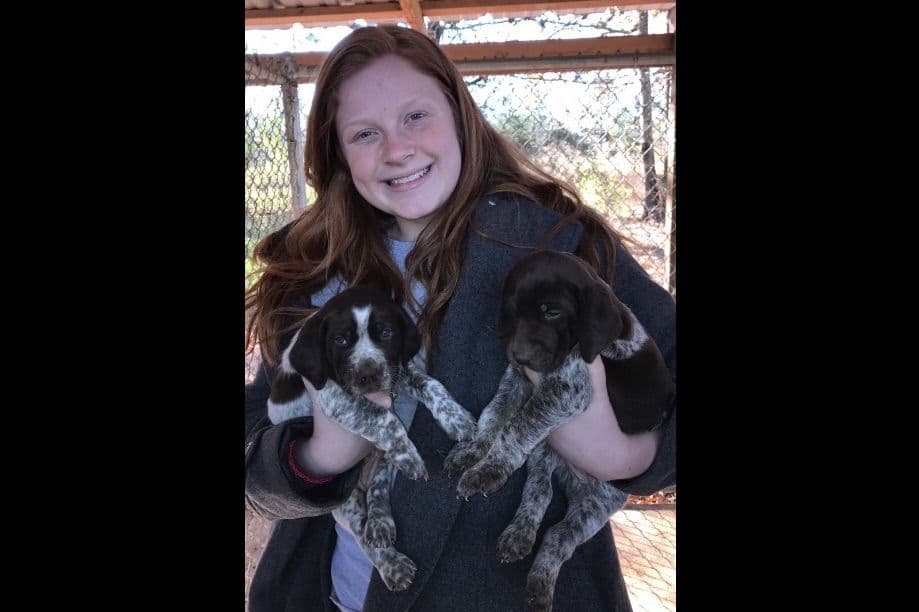 German Shorthaired Pointer Puppies breeder image 6