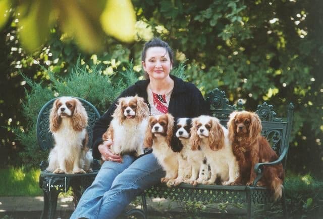 Cavalier King Charles Spaniel Puppies breeder image 2