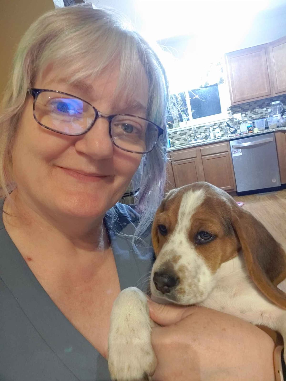 Beagle Puppies breeder image 26