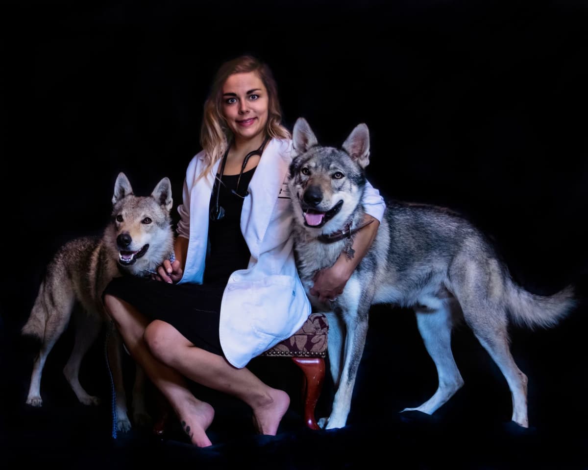 Czechoslovakian Vlciak Puppies breeder image 17