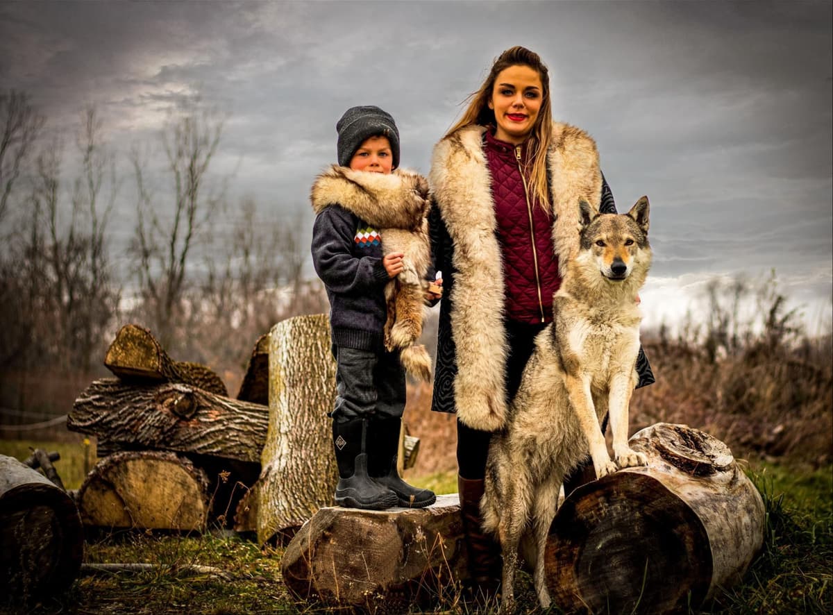 Czechoslovakian Vlciak Puppies breeder image 21