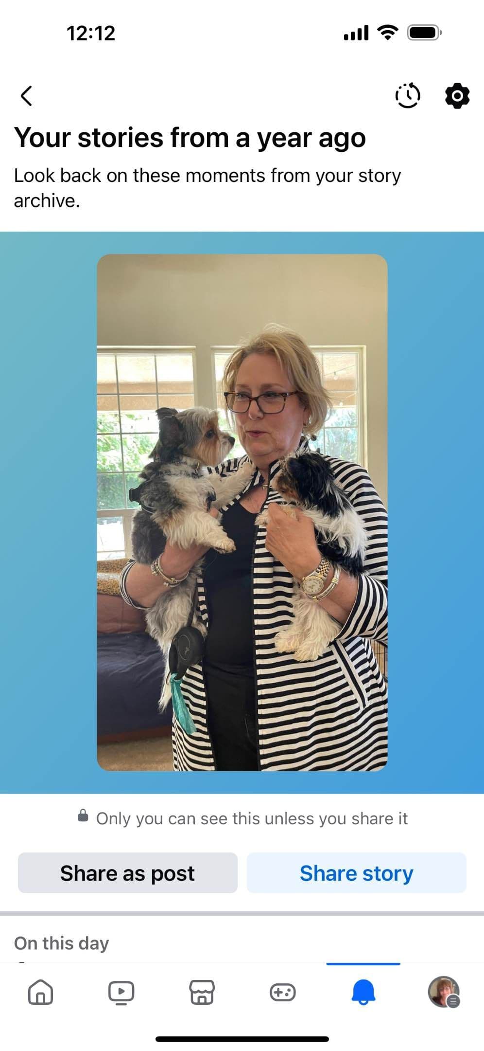 LHASA APSO PUPPIES. READY NOW 06/21/2026 Call Cindy 530-966-8929 breeder image 18