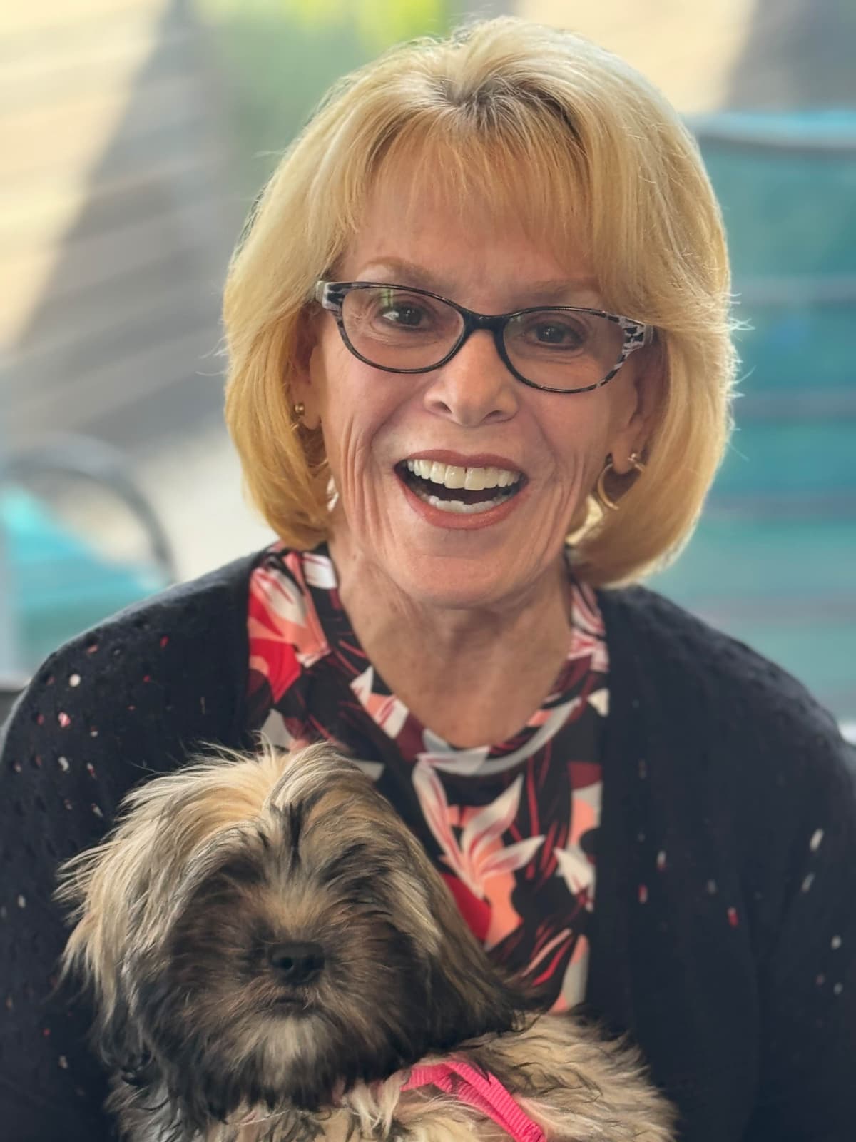 LHASA APSO PUPPIES. READY NOW 06/21/2026 Call Cindy 530-966-8929 breeder image 2