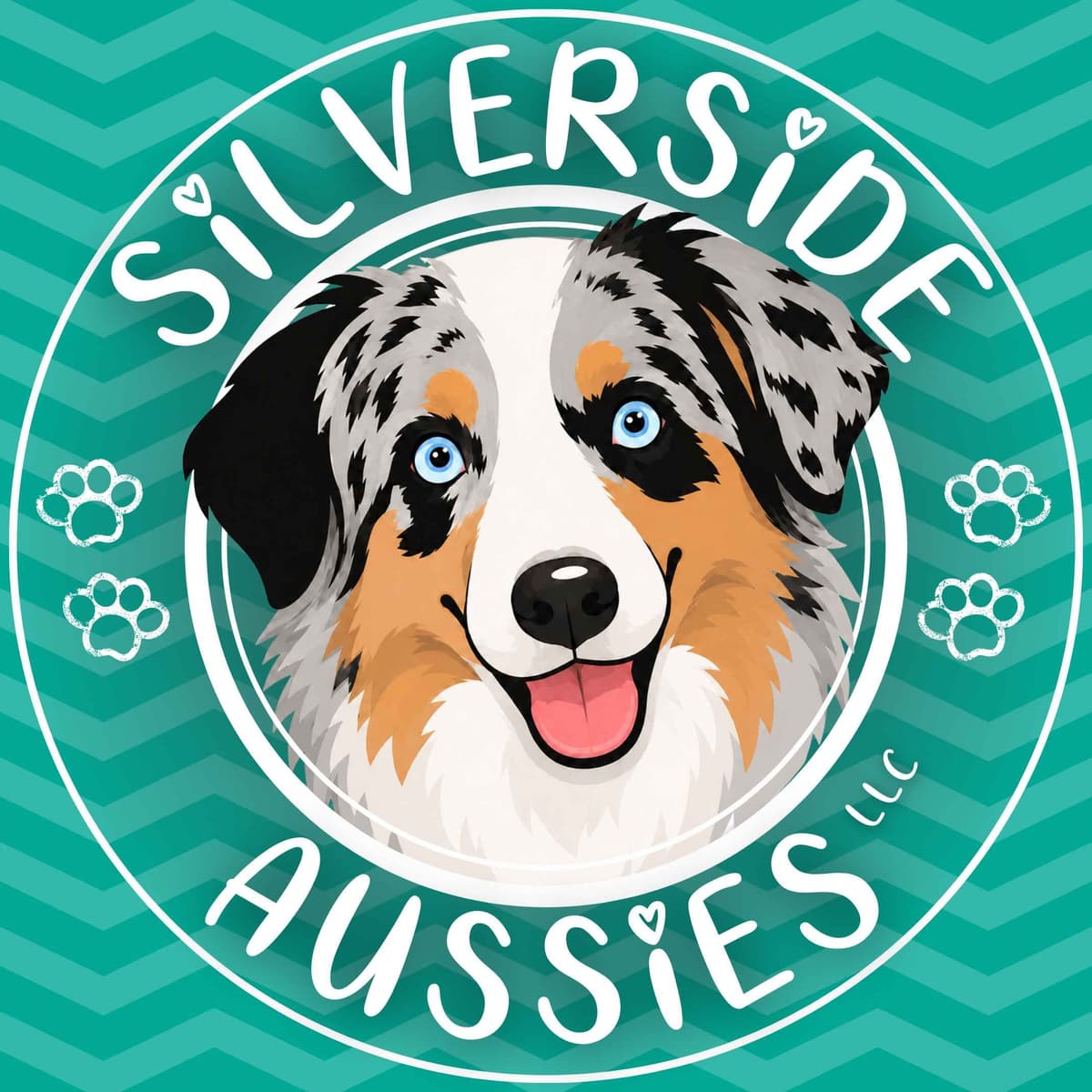 AKC AUSSIES- OFAs, genetics, NATURAL LONG TAIL, blue eyes breeder image 1