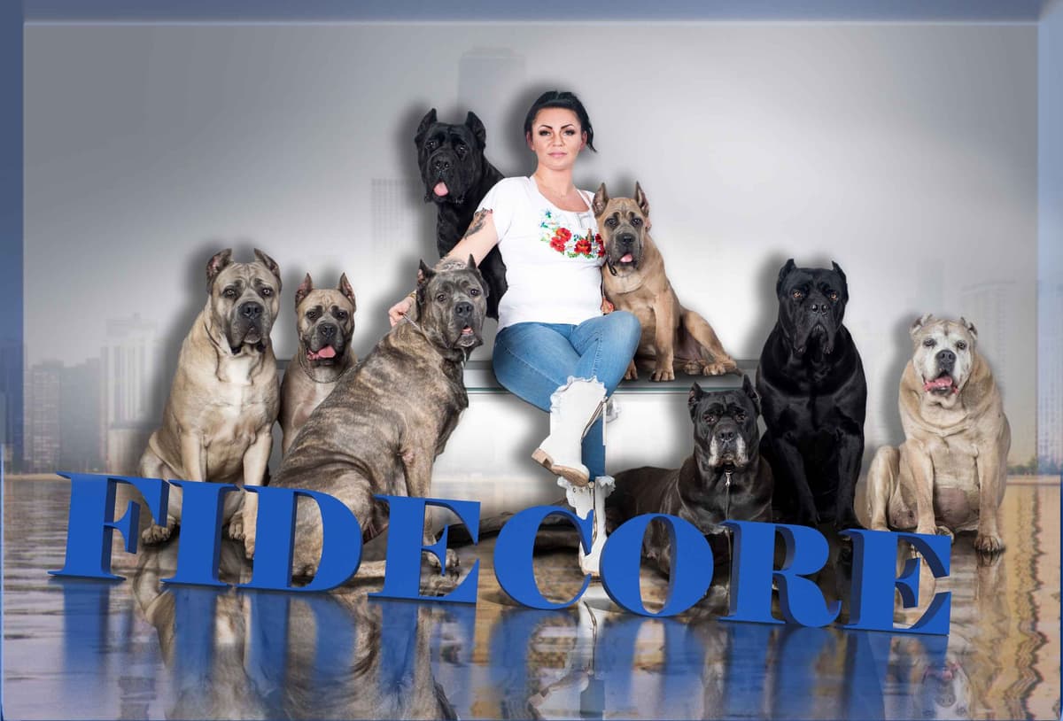 Fidecore Cane Corso Puppies breeder image 1