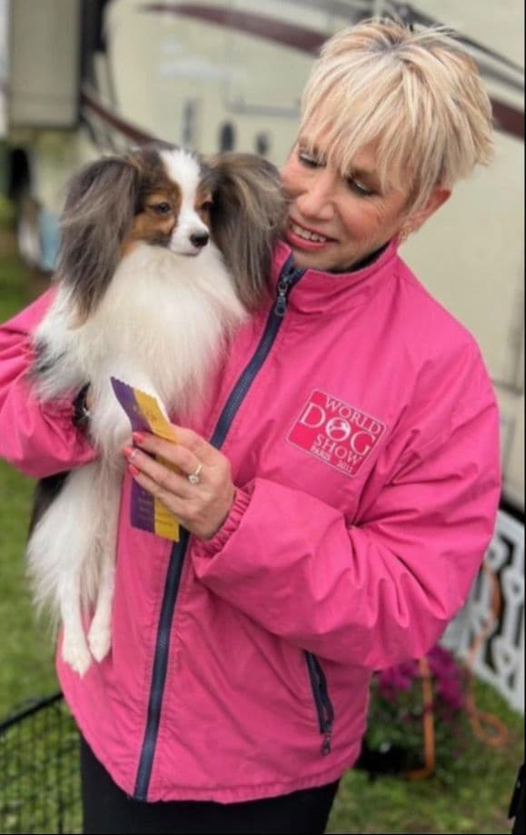 Papillon Puppies breeder image 6