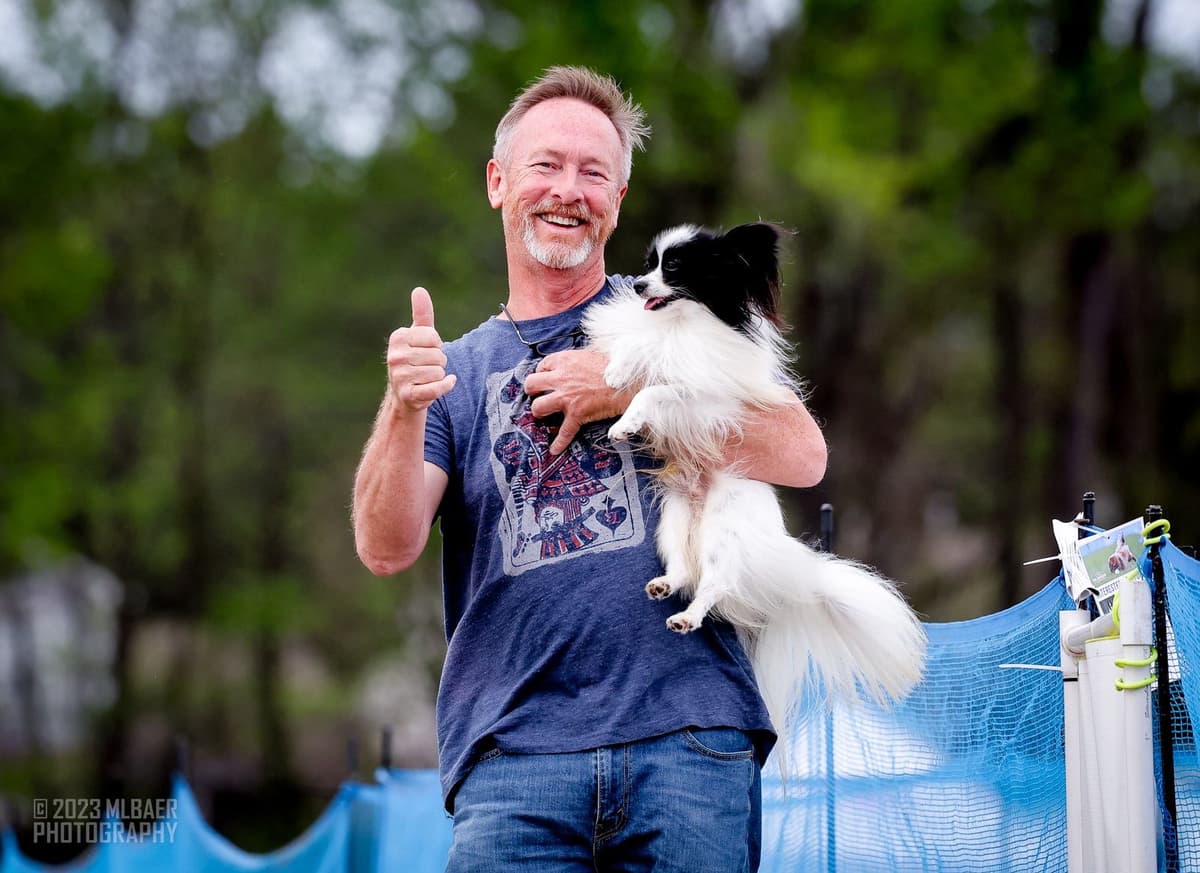 Papillon Puppies breeder image 20
