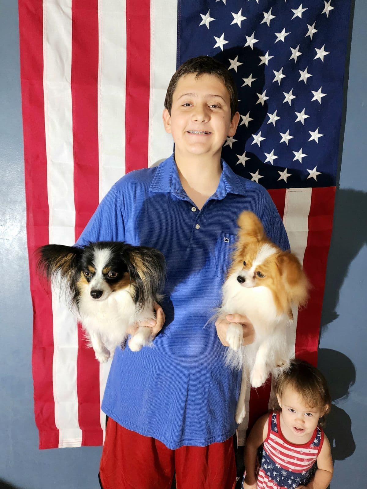 Papillon Puppies breeder image 13