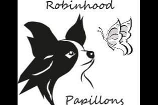 Papillon Puppies breeder image 1