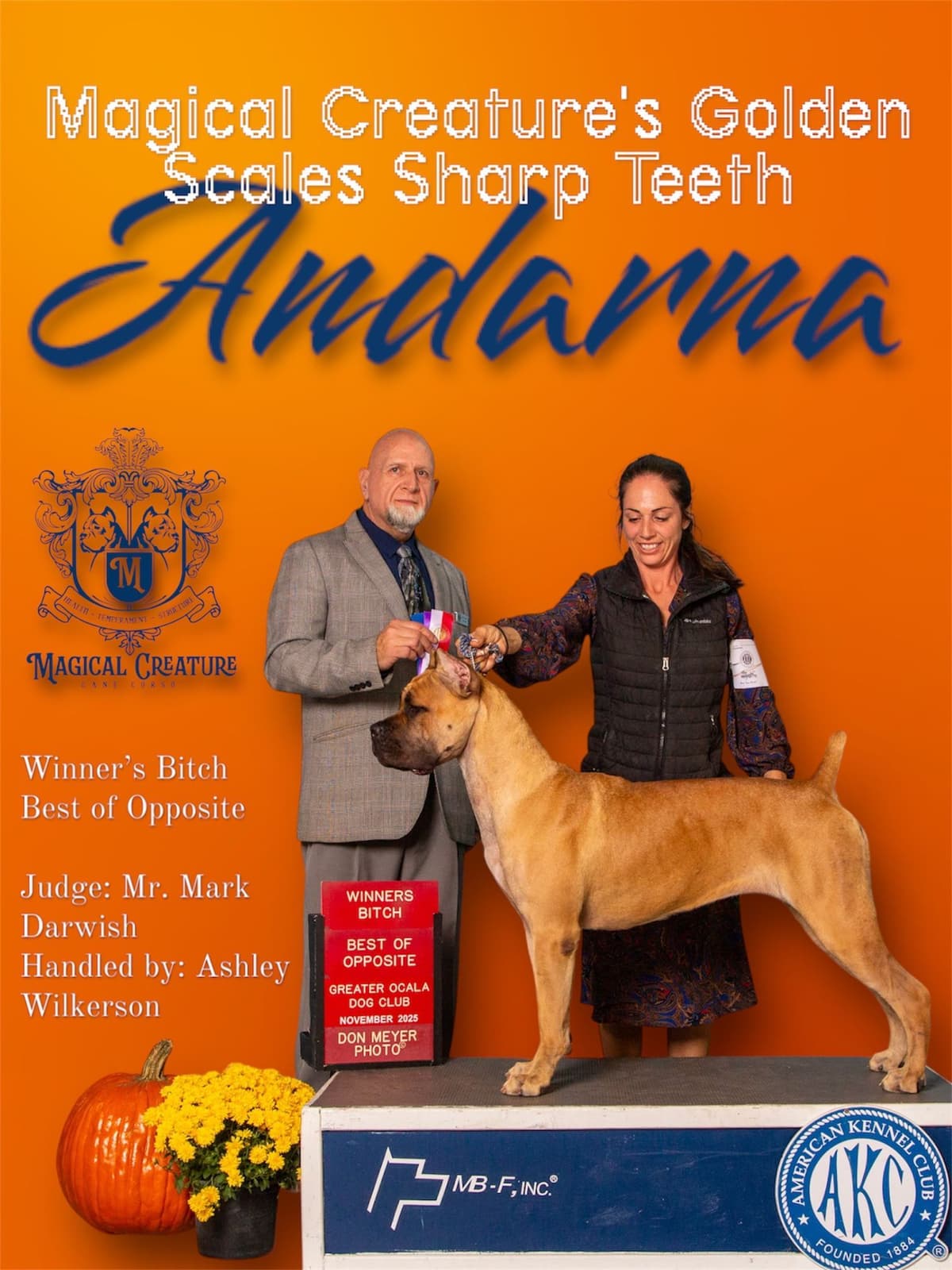 Champion × Champion Cane Corso Puppies – Health Tested Parents breeder image 6