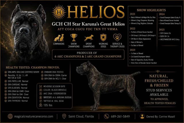GRAND CHAMPION SIRED- OFA CHIC HEALTH TESTED media 8