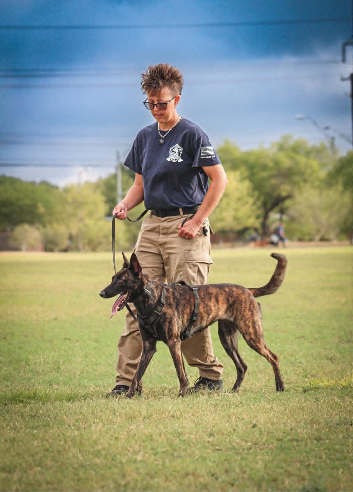 Dutch Shepherd Puppies breeder image 12