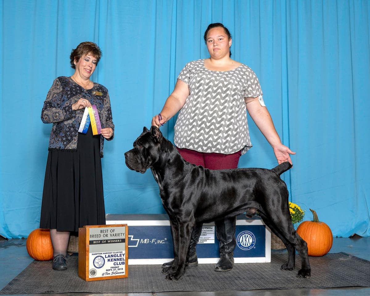 Preservation Bred | Titled Pedigrees | Home Raised | Health Guaranteed breeder image 7