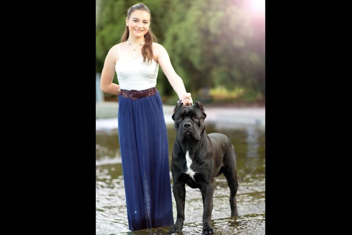 Preservation Bred | Titled Pedigrees | Home Raised | Health Guaranteed breeder image 16